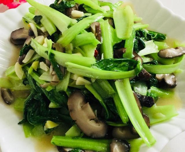 PG国际:泰拉瑞亚NPC巫师怎么召唤 巫师入住条件(图4) PG国际