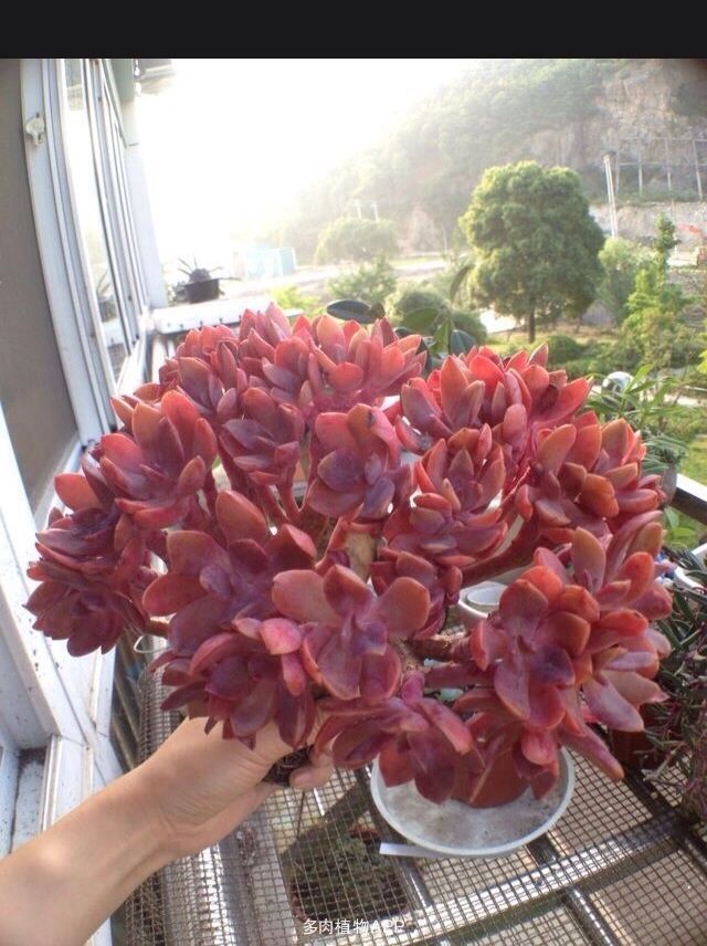 赵丽娜:国家队首秀发挥正常 球迷鼓励是给我礼物_PG国际(图2) PG国际com