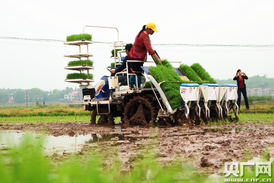 奶块复仇战靴怎么得 复仇战靴合成配方“PG国际com”(图2) PG国际com